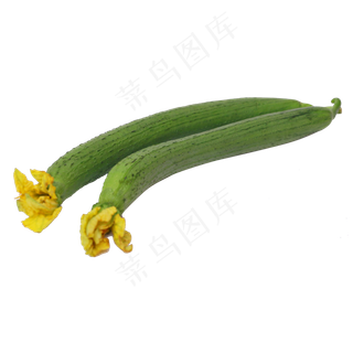 两个丝瓜 两个丝瓜