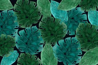 真实的深色热带树叶背景