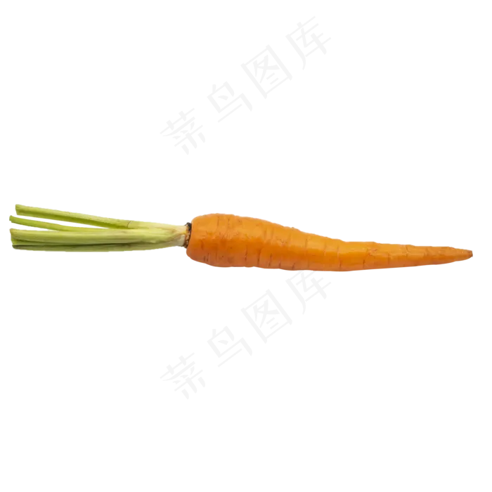 一根蔬菜胡萝卜(2000*2000px 300 dpi )