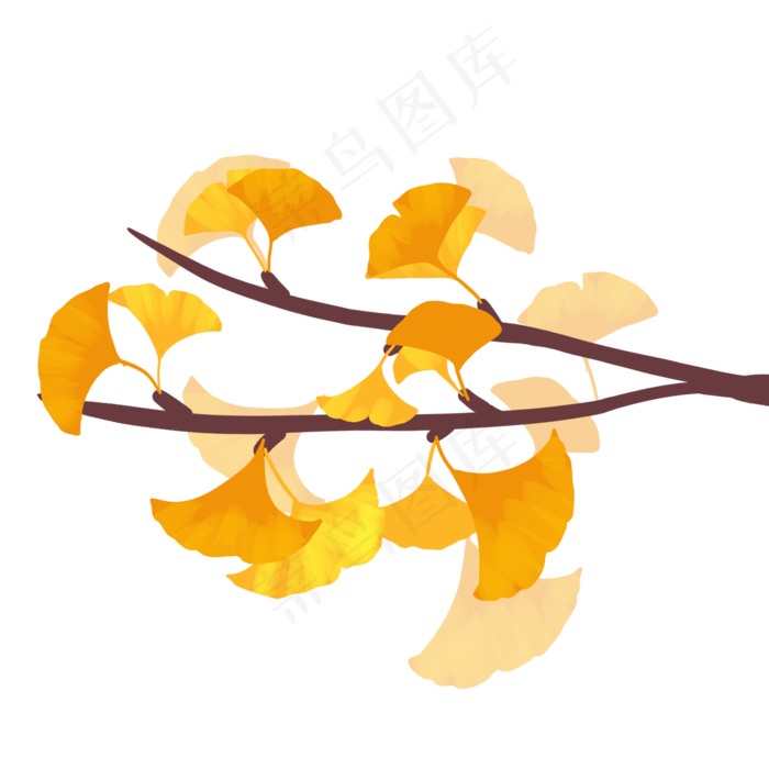 黄色银杏树叶秋分(2000X2000(DPI:300))psd模版下载