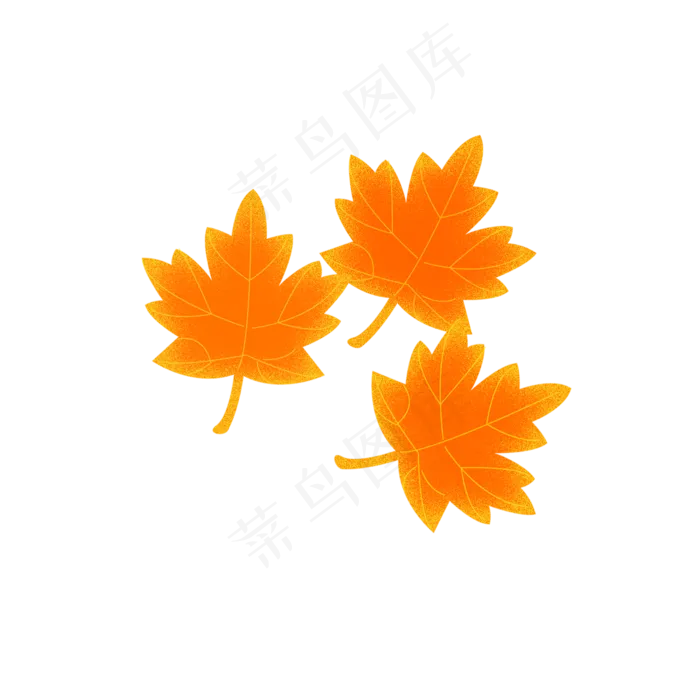 秋天的枫叶(2000X2000(DPI:300))psd模版下载
