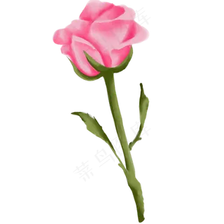 情人节玫瑰花七夕