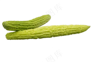 餐饮食材苦瓜