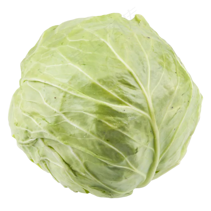 绿色包菜(2000*2000px 300 dpi )