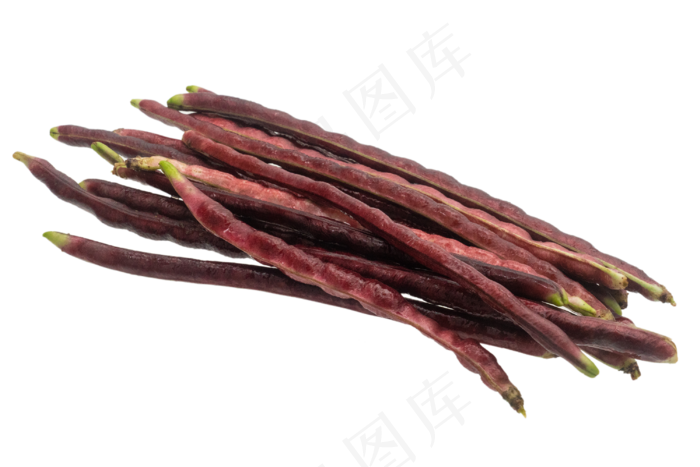 立秋四季豆(3000*2000px 300 dpi )