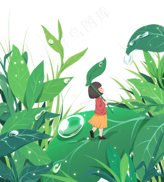 寒露白露露水树叶落叶草地风景天