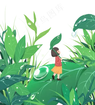 寒露白露露水树叶落叶草地风景天