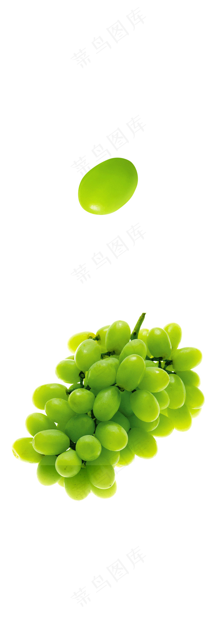 提子 葡萄 水果