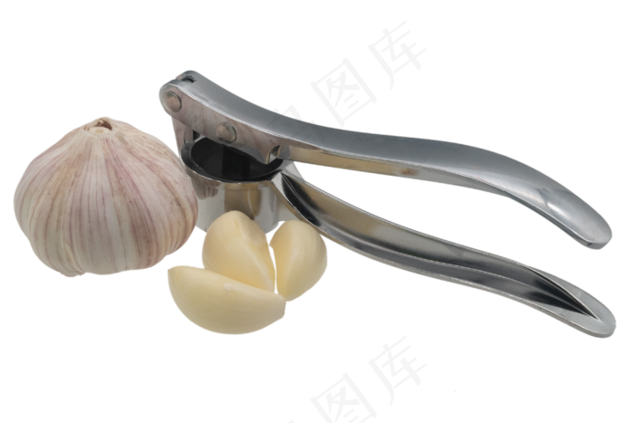 白色大蒜实物