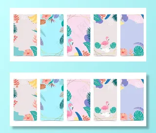 可爱的社交背景媒体.set花，叶，夏的模板故事