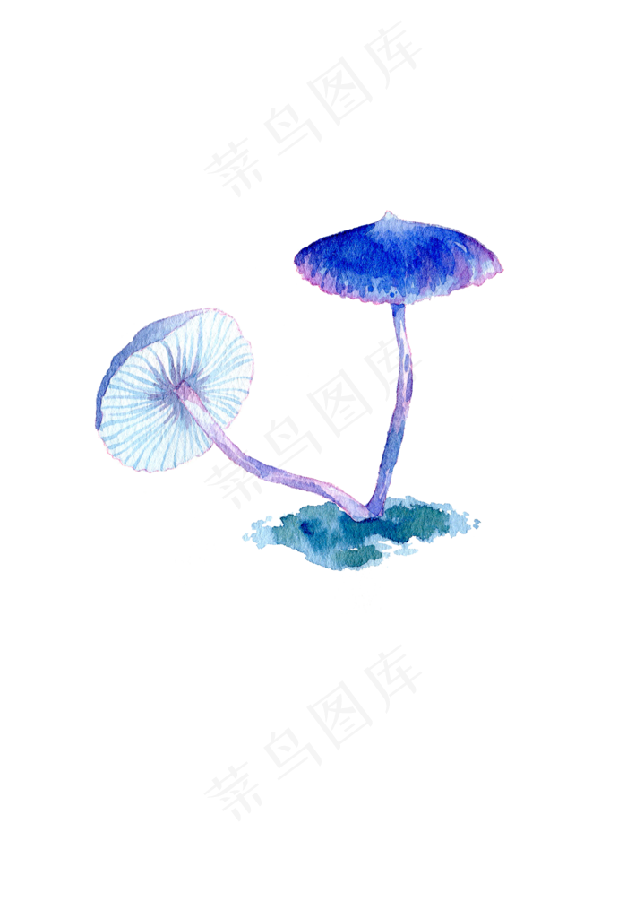 实用蘑菇手绘蘑菇水彩蘑菇(2118X3072(DPI:300))psd模版下载