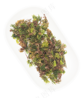 风干绿色野菜 风干绿色野菜