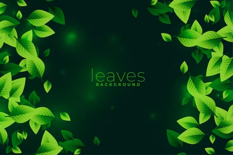 绿叶生态背景设计理念 绿叶生态背景设计理念