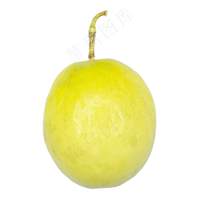 *百香果(2500*2500px 300 dpi )