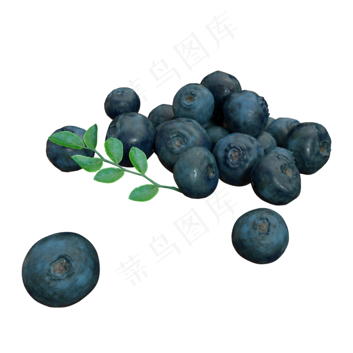 新鲜蓝莓