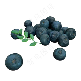 新鲜蓝莓 新鲜蓝莓