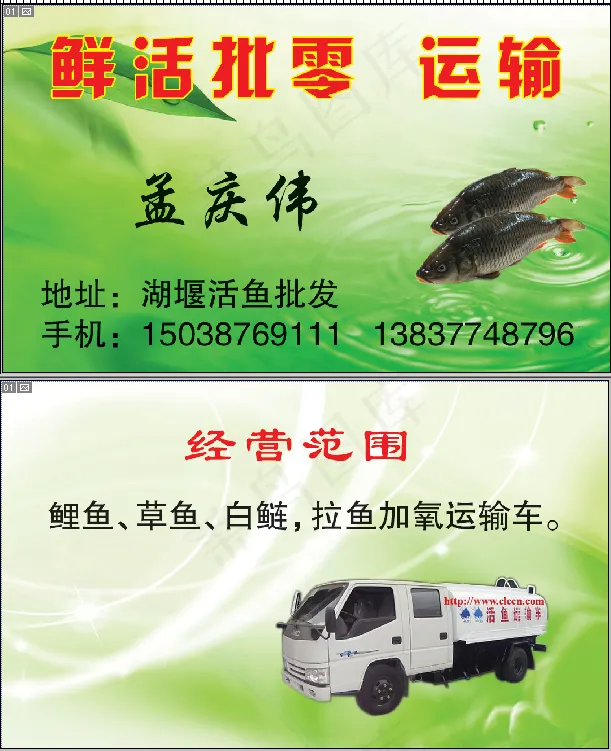 活鱼批发名片psd模版下载