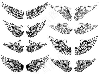白色背景上的复古翅膀插图集。标志、标签、徽章、标志的元素。插图。