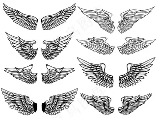 白色背景上的复古翅膀插图集。标志、标签、徽章、标志的元素。插图。