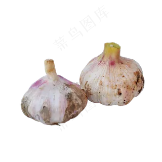 两头大蒜 两头大蒜