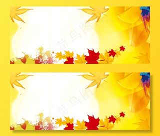 小清新枫叶黄色二十四气节图