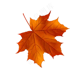 立秋飘落的枫叶