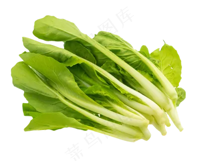 蔬菜青菜