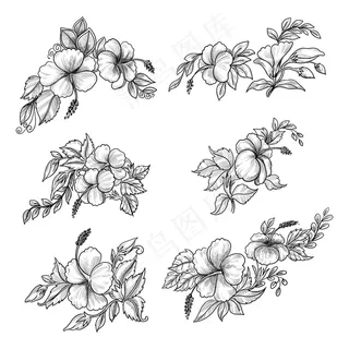 美丽的手绘素描花卉套装设计