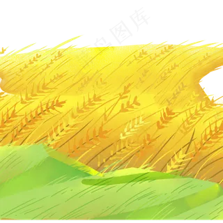 秋天麦子草地景色