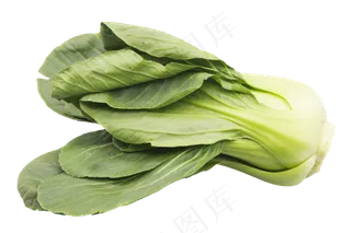 小油菜绿色蔬菜