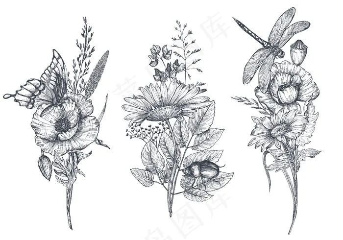 三束矢量花束，黑白手绘草本植物、野花和昆虫、蝴蝶、蜜蜂、蜻蜓，素描风格。eps,ai矢量模版下载