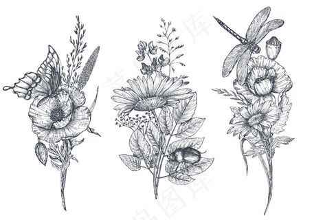 三束矢量花束，黑白手绘草本植物、野花和昆虫、蝴蝶、蜜蜂、蜻蜓，素描风格。