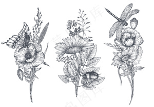 三束矢量花束，黑白手绘草本植物、野花和昆虫、蝴蝶、蜜蜂、蜻蜓，素描风格。