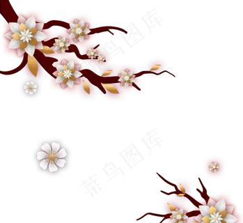 中国传统白梅花树分支花瓣