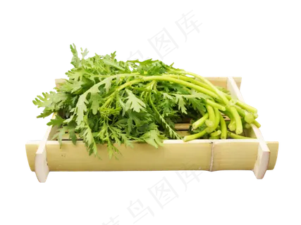蔬菜茼蒿 蔬菜茼蒿