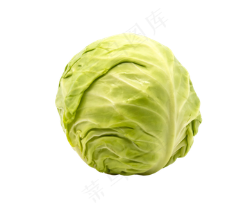 一颗蔬菜白菜