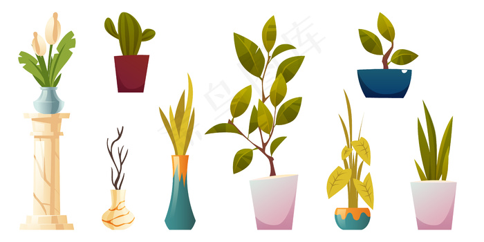 室内或办公室用盆和花瓶中的植物，白色隔离
