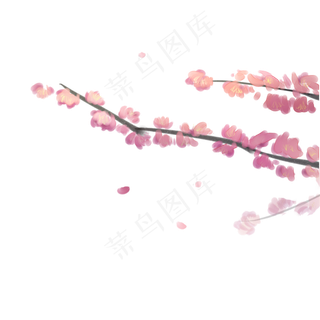 桃花梅花树枝