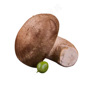 灰色圆弧蘑菇食物元素