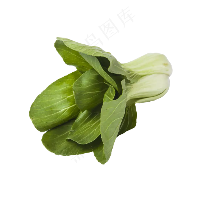 小青菜（png免抠）(2000X2000(DPI:72))psd模版下载