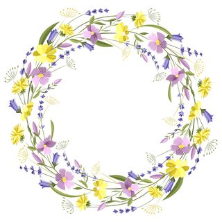 美丽的花卉圆框与野花和叶子