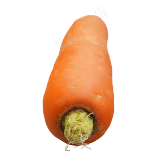 维生素蔬菜红萝卜