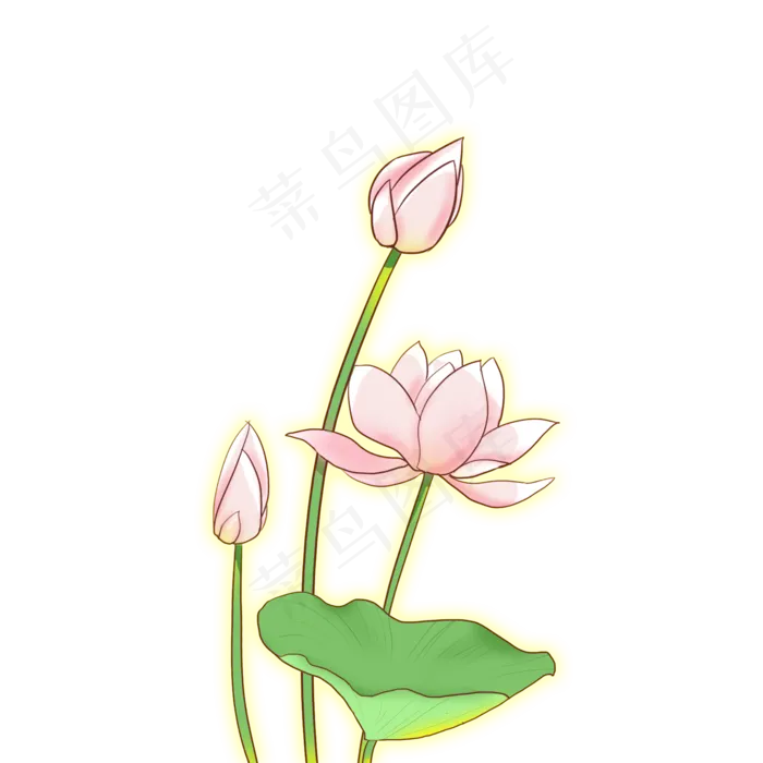 简约风夏日唯美风荷花素材下载(2000X2000(DPI:300))psd模版下载