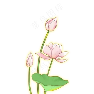 简约风夏日唯美风荷花素材下载