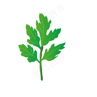 矢量卡通手绘树叶