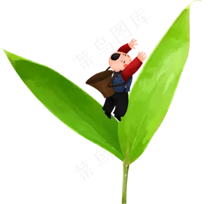 端午节粽子绿色叶子