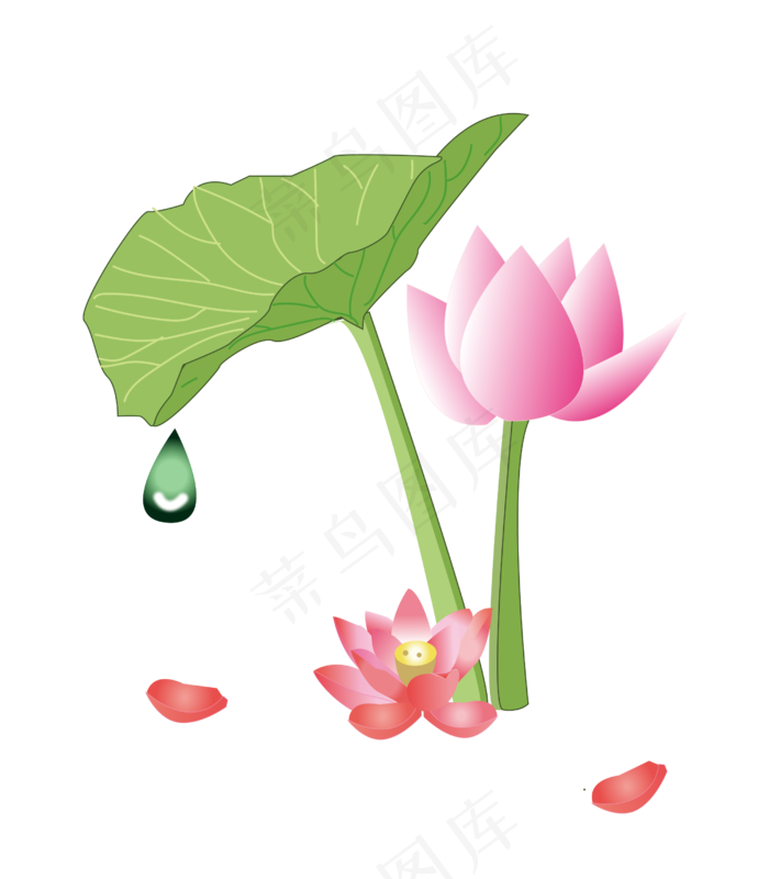 绿色的荷叶和粉色荷花(2500*2856px 300 dpi )ai矢量模版下载