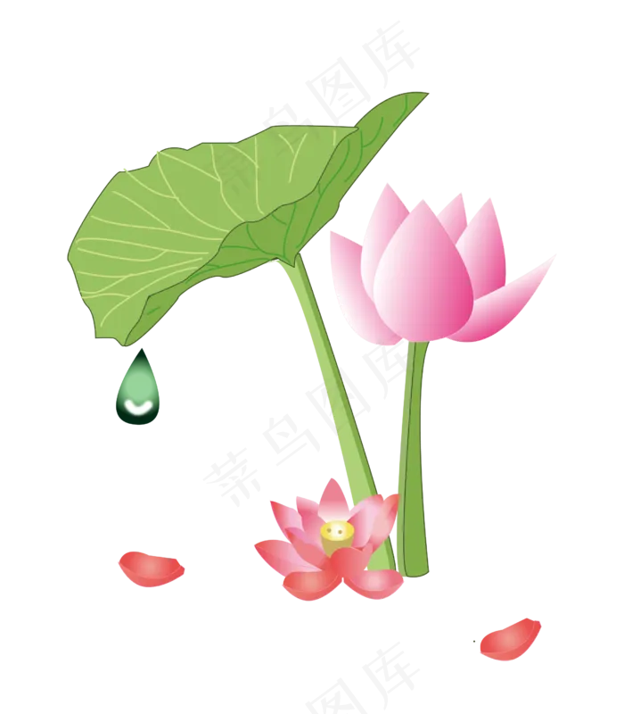 绿色的荷叶和粉色荷花(2500*2856px 300 dpi )ai矢量模版下载