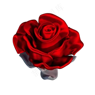 红色玫瑰png图 红色玫瑰png图