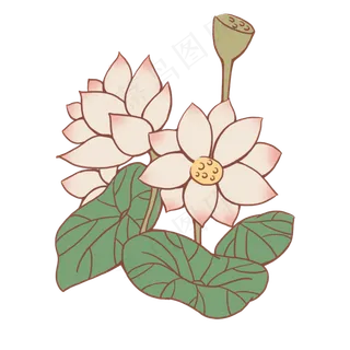 手绘荷花荷叶粉色的花